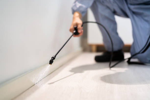 Licensed Termite Control service in Dooms, VA - Nex Pest Control