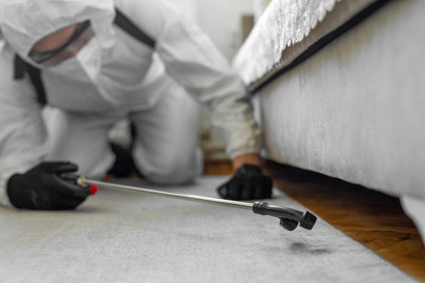 Professional Termite Control technician working in Dooms, VA