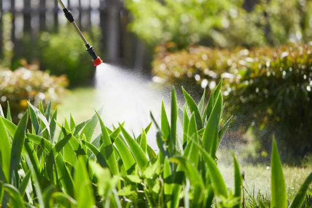 24/7 Emergency Termite Control experts in Dooms, VA