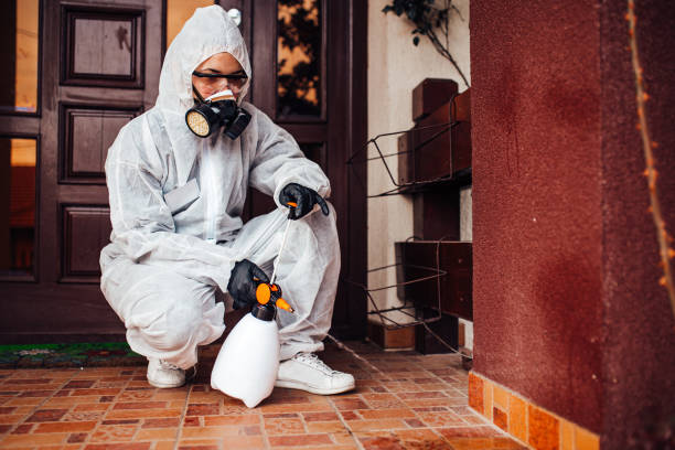 Reliable Termite Control contractor in Dooms, VA by Nex Pest Control