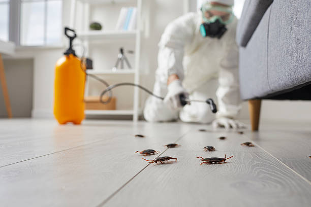 Trusted Bed Bug Control service in Dooms, VA - Nex Pest Control